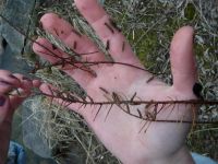 p1140003