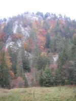 pa150074