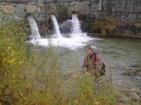 pict0761