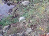 dsc00374