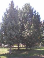 p5070045