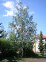 p5070051