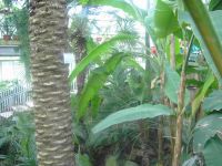 pict0248
