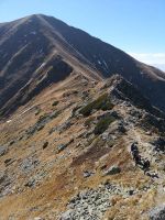 IMG_20181011_124302