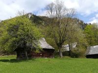 IMG_20190508_142900