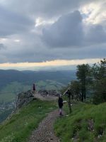 IMG_6905