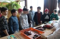 IMG_3548