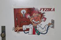 FYZ21