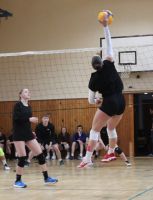 IMG_1010
