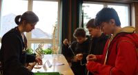IMG_9254
