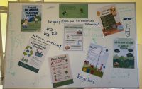 FRJprojekt2o