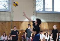 IMG_8593