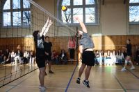 IMG_8917