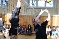 IMG_8951